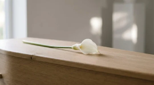 Un unique arum blanc posé avec délicatesse sur un cercueil épuré, symbole d'un hommage funéraire moderne et sobre