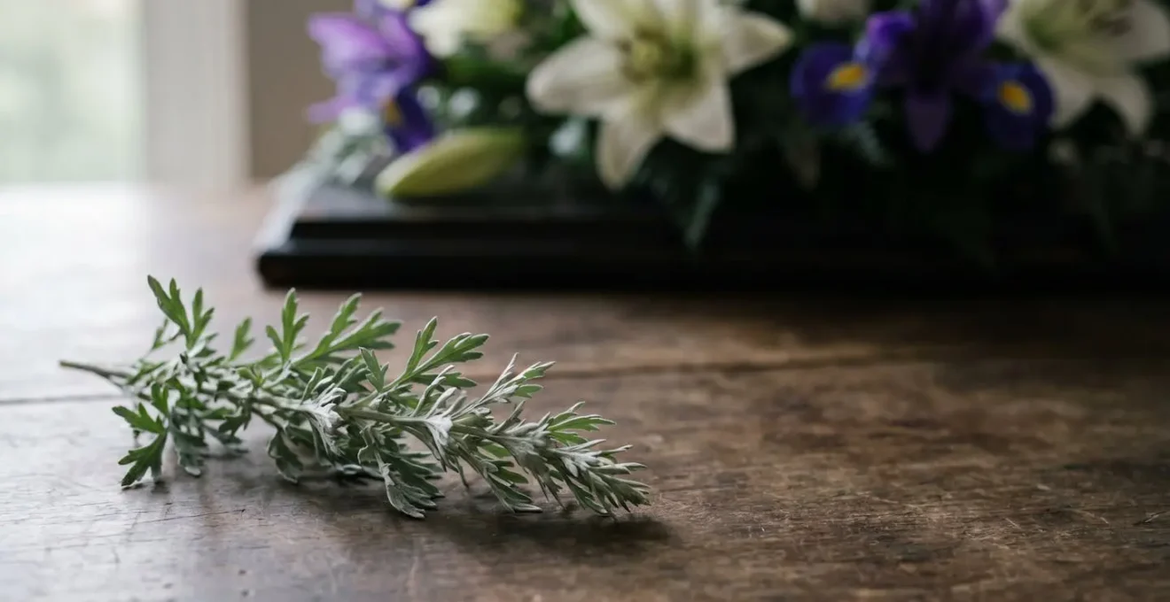 Brin d'absinthe argente pose delicatement pres d'une composition florale de deuil, symbolisant l'amertume de l'absence